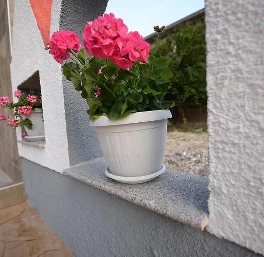 Apartmán Rafailia *