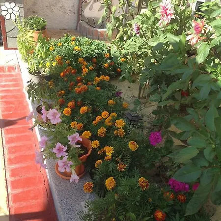 Apartment Rafailia