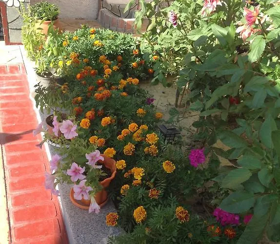 Apartment Rafailia