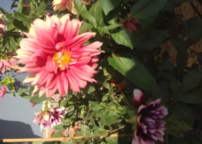 Rafailia Olympiakí Aktí